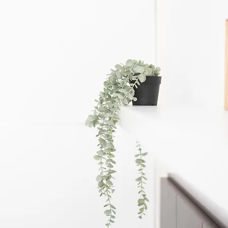 Apartamento Victoria